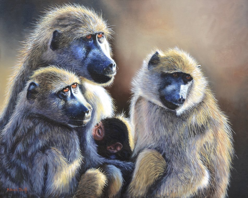 Centre of attention by Patrick Duff