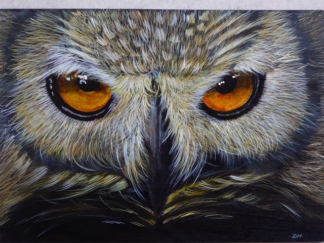 Snowy Owl by Desi Hart
