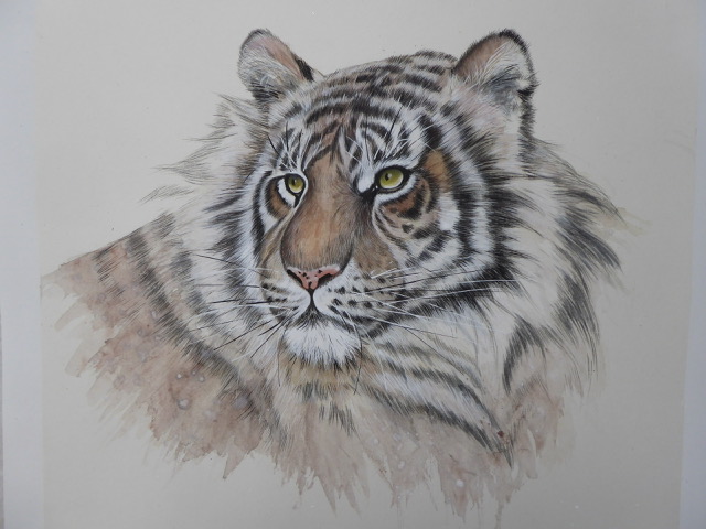 Tiger by Desi Hart