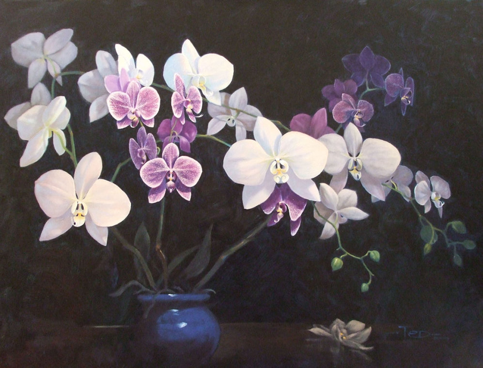 Orchids by Ted Poole