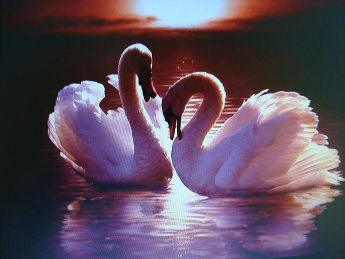 "Love eternal" by Vic Davis