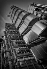 The Lloyds