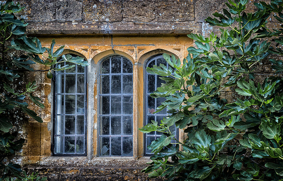 Montacute House, Study 3, Somerset, England
