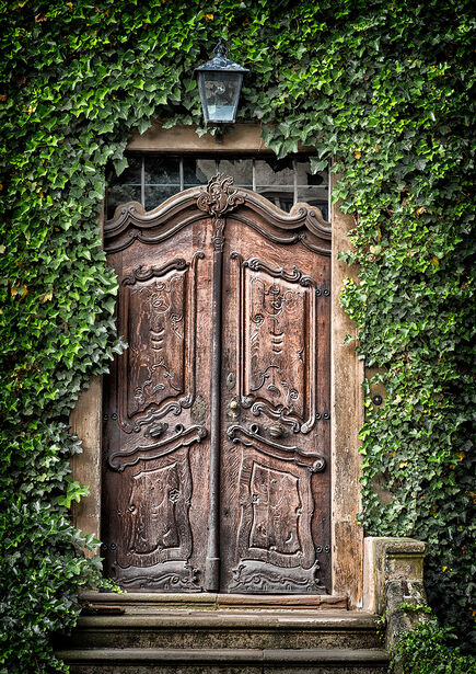 Wa¨chtersbach, Study 1, Germany