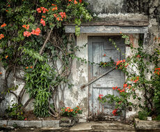 River Antoine Distillery, Study 1, Grenada