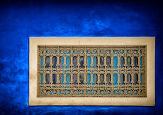 Jardin Majorelle, Study 1, Marrakesh, Morocco