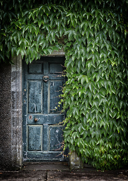 Geilston Gardens, Study 1, Scotland