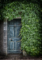 Geilston Gardens, Study 1, Scotland