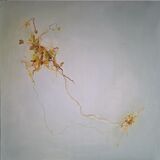 ripple of the Dart by ashar