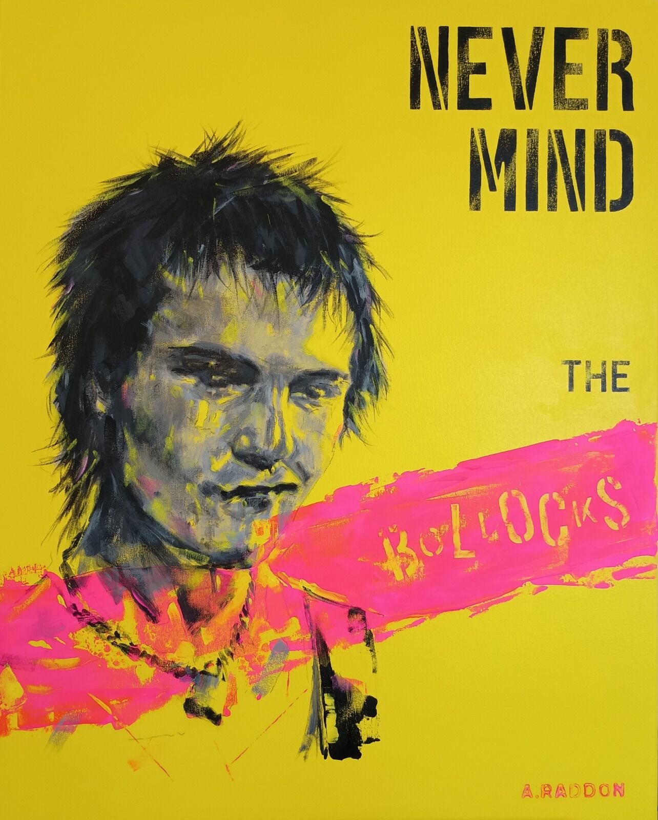 Sid Vicious Never Mind