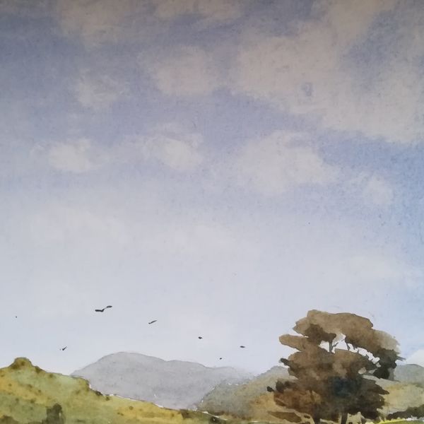 Cloud shadows