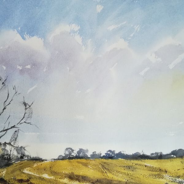 Field views towards the Teign Estuary, Devon