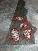 Cracking, peeling paint: below chair rail section