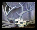 Antlers  -Oil 2007