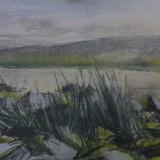 D11 Osier Grass 2009 pastel 45x32cm £200