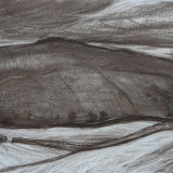 D2 Crackpot Moor 2006 brown chalk 81x57cm £450