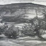 D5 Thorn Trees 1999 charcoal 59x41cm £300