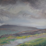 O14 Buttercups 2007 oil 60x60cm £700