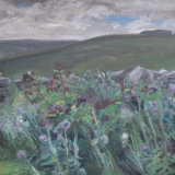 O17 Thistles 2006 oil 61x61 SOLD