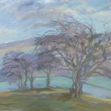O34 Hawthorn above Blades 2015 oil 68x61cm SOLD