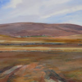 W5 Brownsey Moor III 2006 watercolour 97x64cm £950