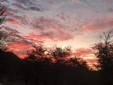 193. Early Morning Ranthambhore