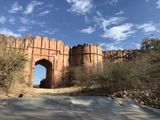 194. Ranthambhore Entrance