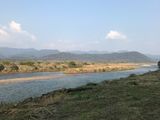 333. Corbett & Dhikala