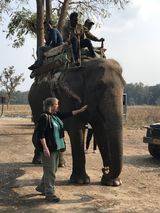 357. Elephant