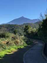 Monte del Agua ~ Mt. Teide