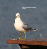 April 2011 ~ 5 Photos