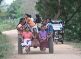 This photo was taken at the Debarawawa Wetland, these happy Ladies must have been on the way home from work. What a way to travel !!