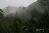 This was the view of the Sinharaja Rain Forest from Martin's Lodge, this sight greeted us every morning for breakfast and every evening for dinner.