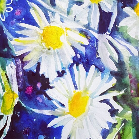 spring daisies