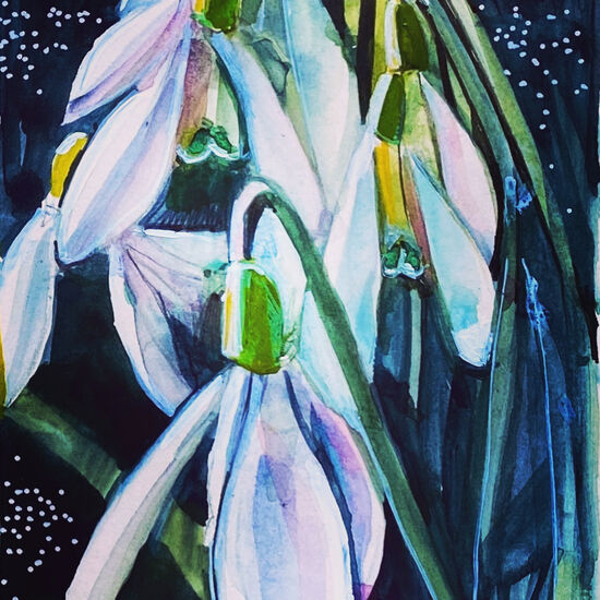 watercolour snowdrops