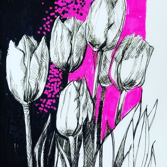 pink tulips