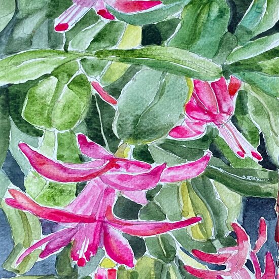 CHRISTMAS CACTUS