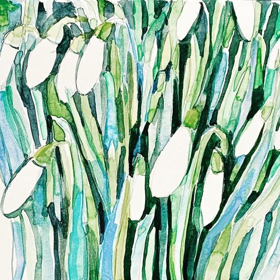 Snowdrops