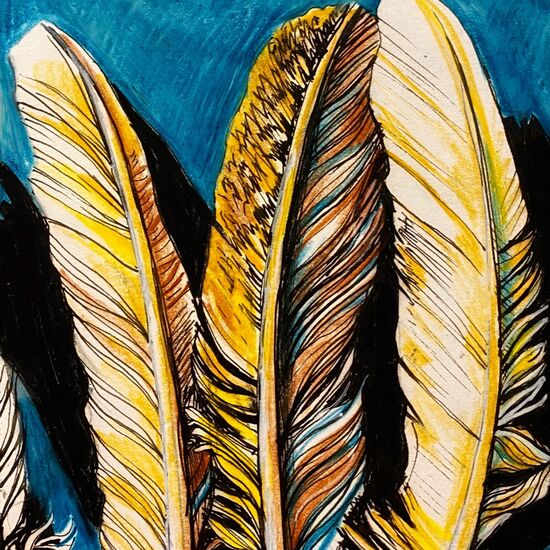 feathers
