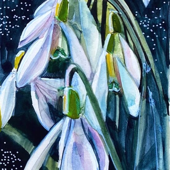 spring snowdrops