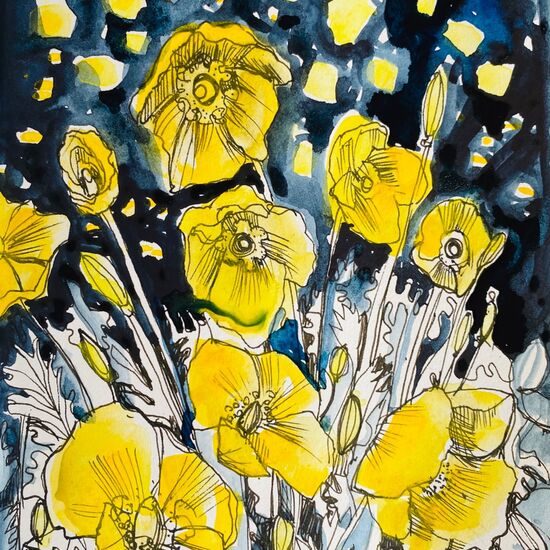 yellow poppies