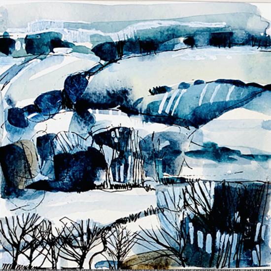 avondale Landscape in the snow 2