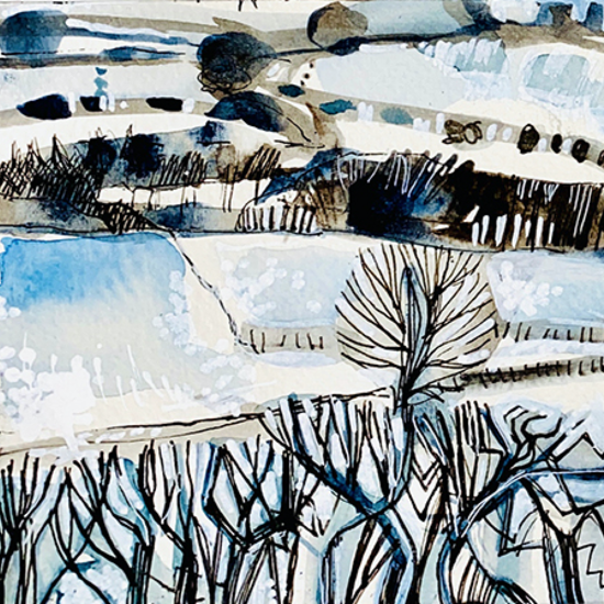 Avondale Landscape in the snow 3