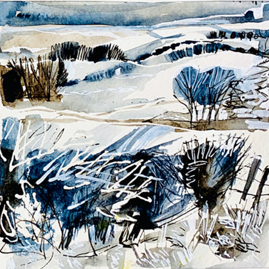 avondale Landscape in the snow 4