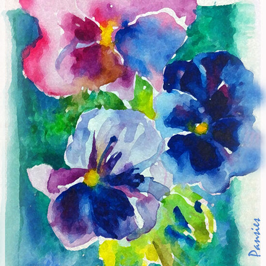 pansies1
