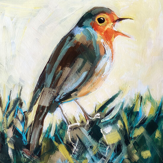 robin redbreast