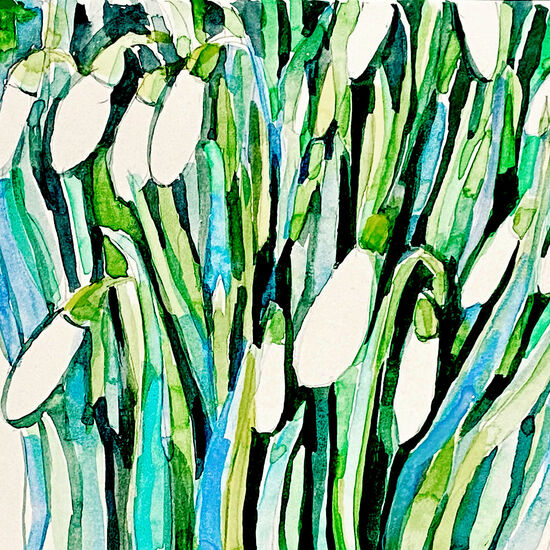 snowdrops