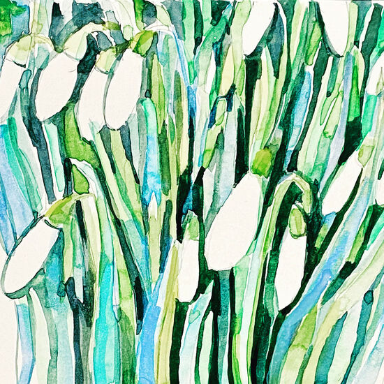 snowdrops