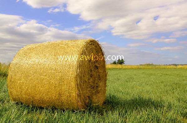 Straw bale