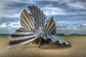 Aldeburgh Shell